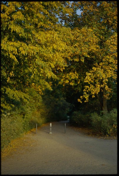 CONVERTED WITH PHOEBUS BY POST-FX