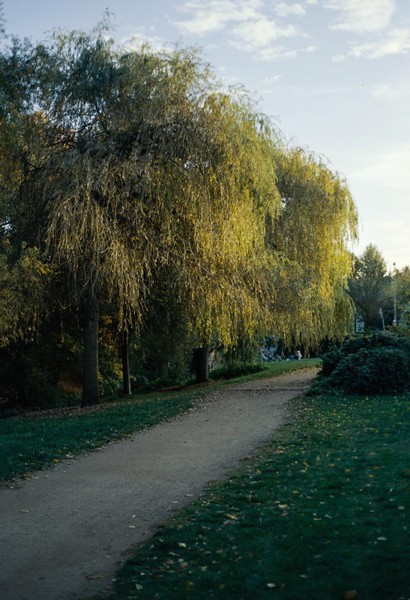 CONVERTED WITH PHOEBUS BY POST-FX