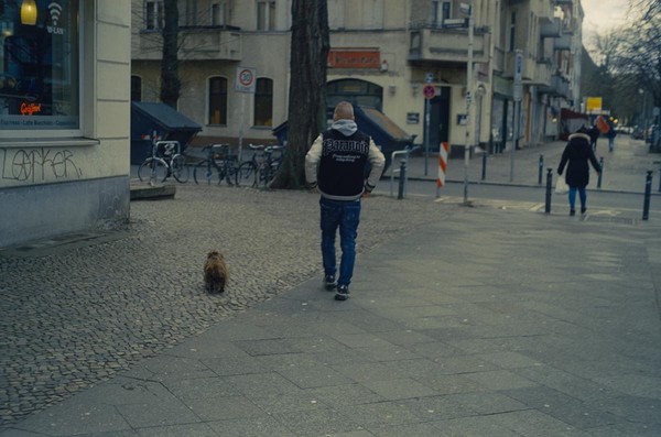 CONVERTED WITH PHOEBUS BY POST-FX