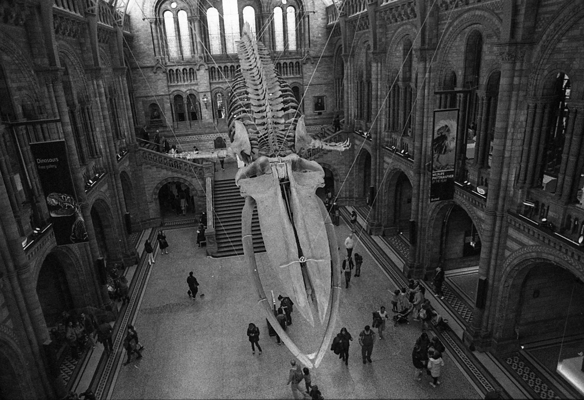 000194 - 02/23 - london #5