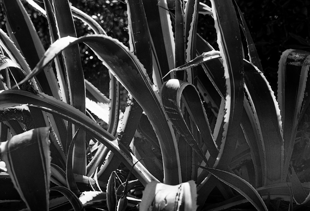 000200 - 04/23 - katalonien #4