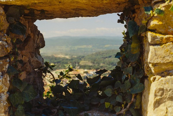 CONVERTED WITH PHOEBUS BY POST-FX