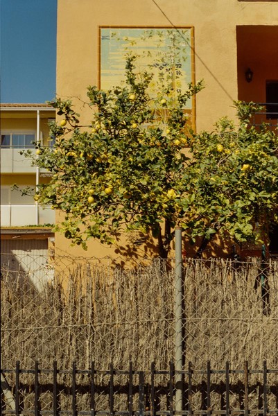 CONVERTED WITH PHOEBUS BY POST-FX