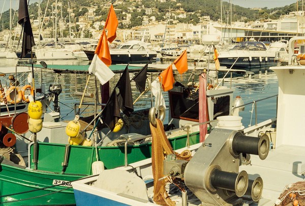 CONVERTED WITH PHOEBUS BY POST-FX