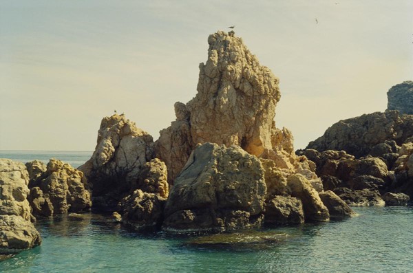 CONVERTED WITH PHOEBUS BY POST-FX