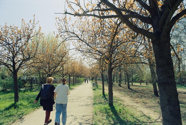 CONVERTED WITH PHOEBUS BY POST-FX