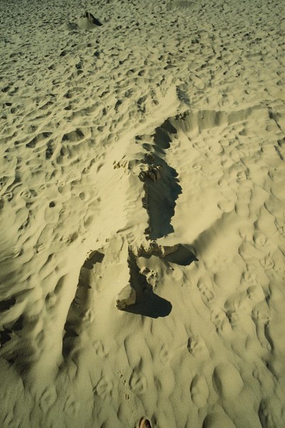 CONVERTED WITH PHOEBUS BY POST-FX