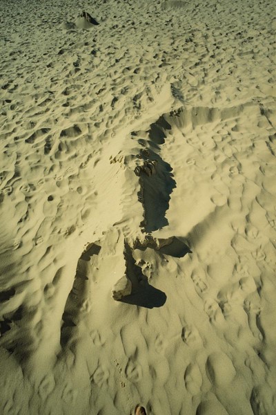 CONVERTED WITH PHOEBUS BY POST-FX