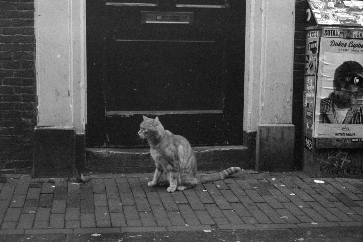 000241 - 12/23 - #amsterdam #2