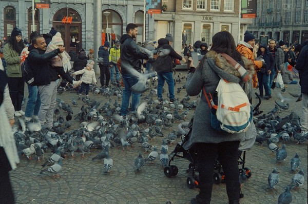 CONVERTED WITH PHOEBUS BY POST-FX