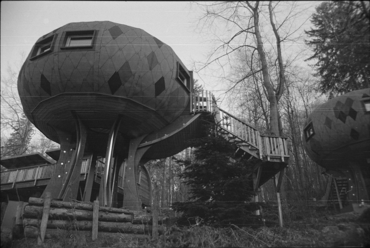 000260 - 03/24 - harz #5