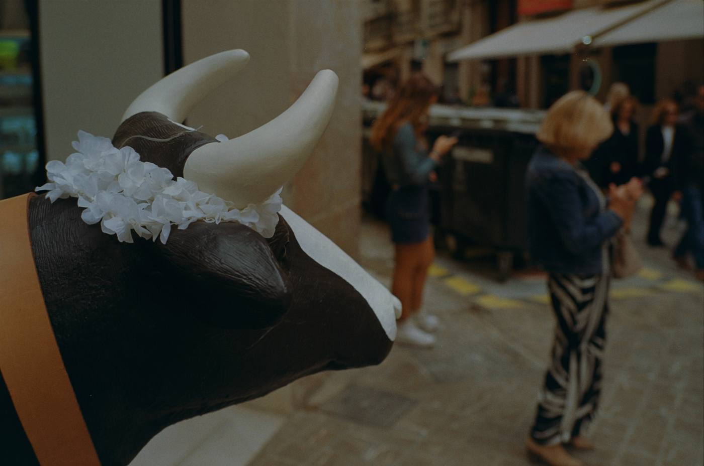 000265 – 03/24 – andalusien #3