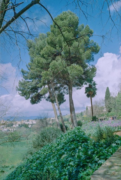 CONVERTED WITH PHOEBUS BY POST-FX