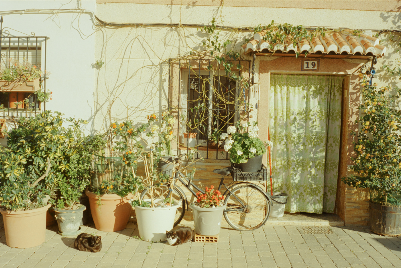 000270 – 03/24 – andalusien #9