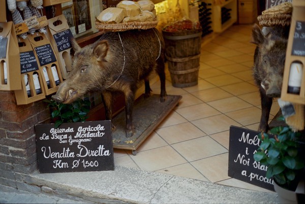 CONVERTED WITH PHOEBUS BY POST-FX