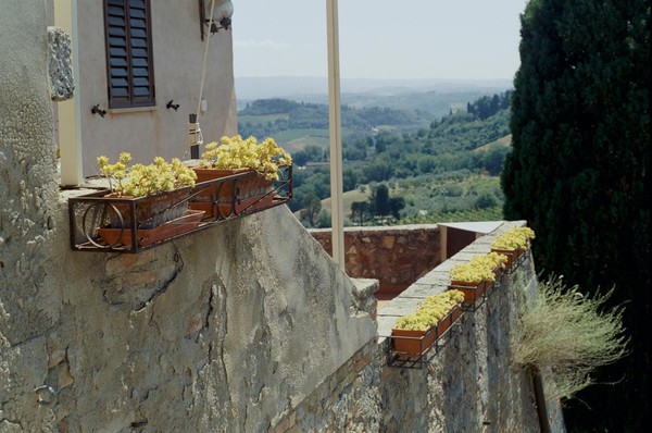 CONVERTED WITH PHOEBUS BY POST-FX