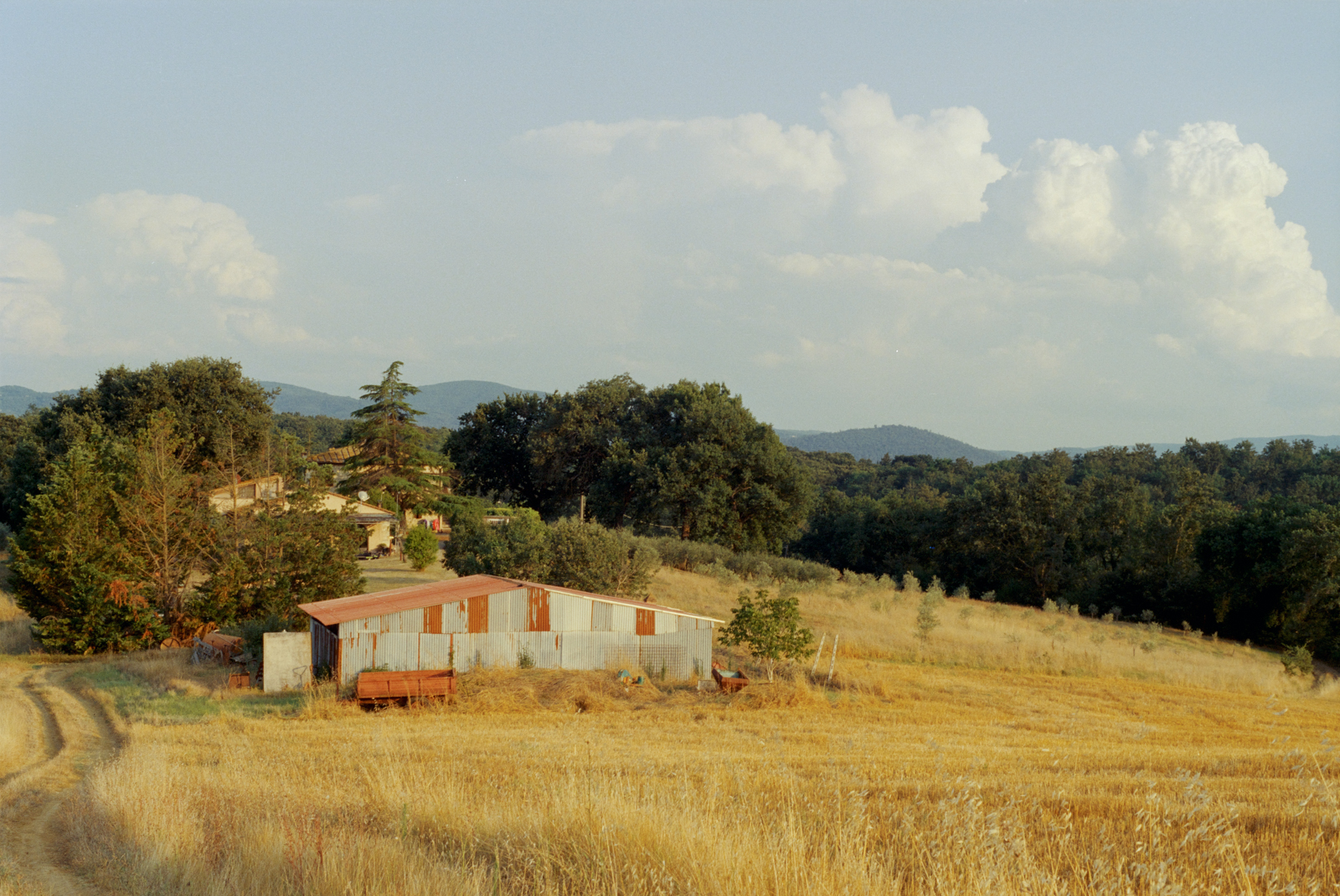 000292 - 07/24 - Toskana #5