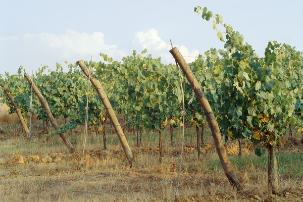 CONVERTED WITH PHOEBUS BY POST-FX