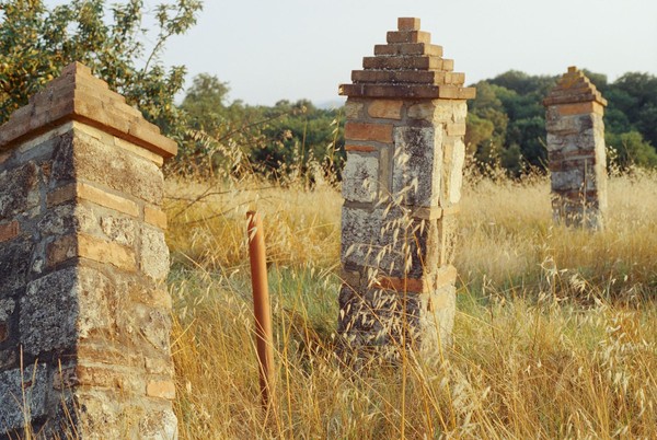 CONVERTED WITH PHOEBUS BY POST-FX