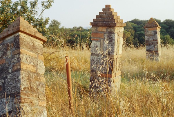 CONVERTED WITH PHOEBUS BY POST-FX