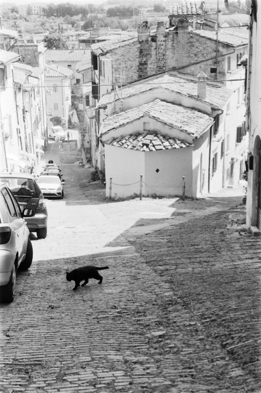 000293 - 07/24 - Toskana #6