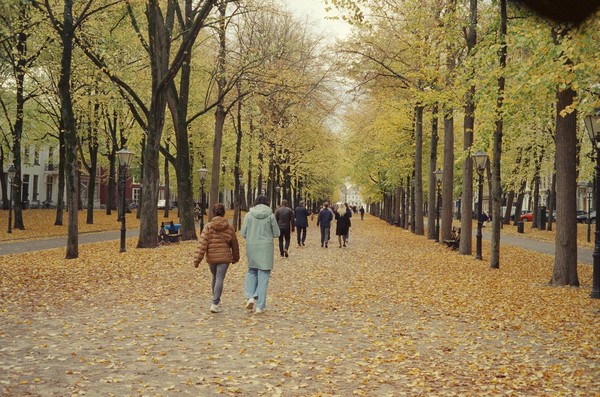 CONVERTED WITH PHOEBUS BY POST-FX