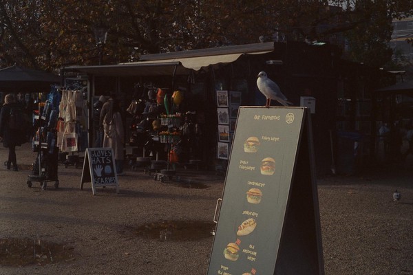 CONVERTED WITH PHOEBUS BY POST-FX