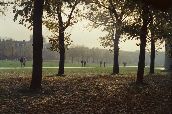 CONVERTED WITH PHOEBUS BY POST-FX