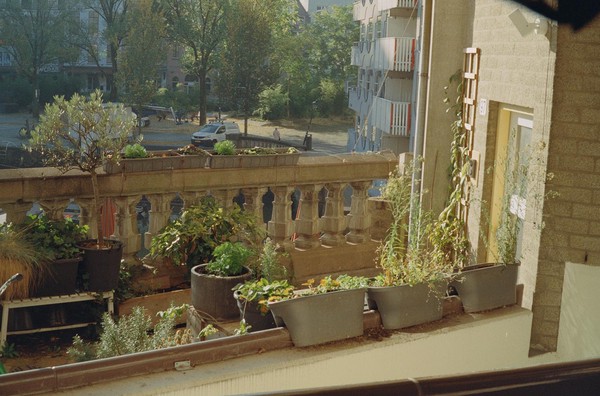 CONVERTED WITH PHOEBUS BY POST-FX