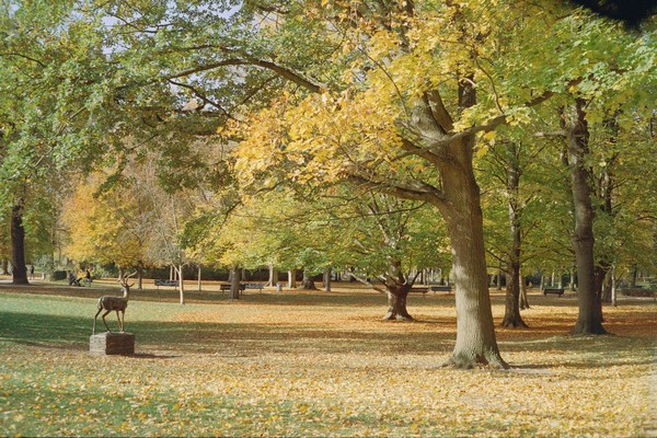 CONVERTED WITH PHOEBUS BY POST-FX