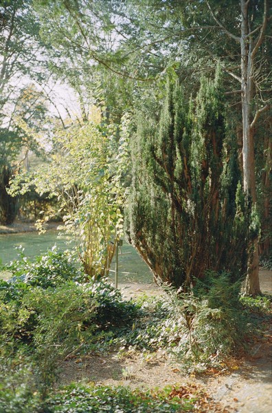 CONVERTED WITH PHOEBUS BY POST-FX