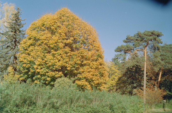 CONVERTED WITH PHOEBUS BY POST-FX