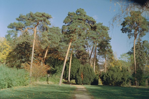 CONVERTED WITH PHOEBUS BY POST-FX