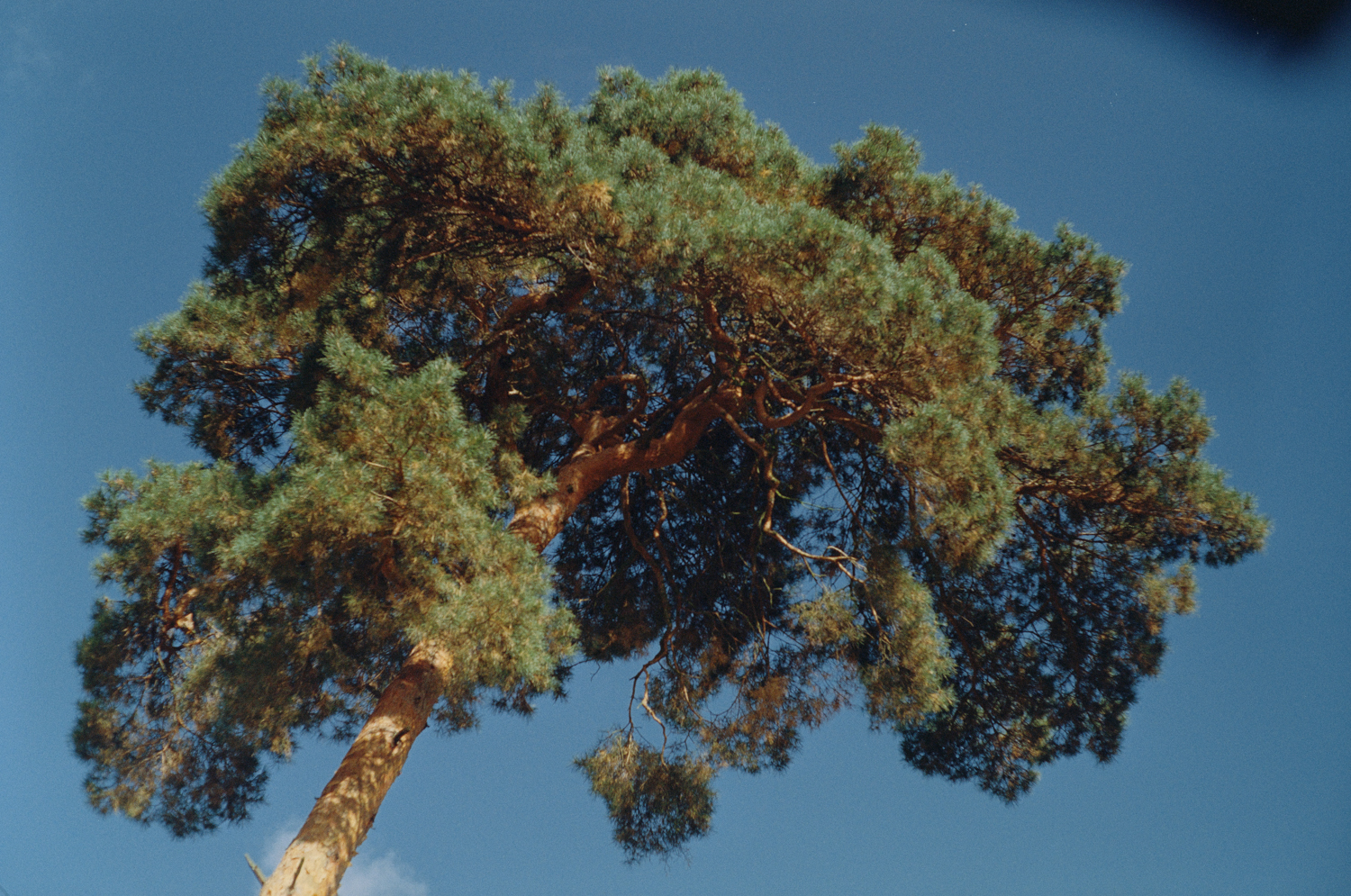 000320 - 10/24 - Holland #10