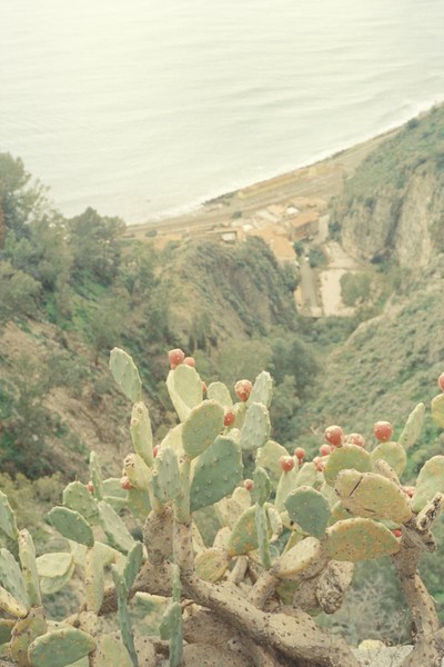 CONVERTED WITH PHOEBUS BY POST-FX