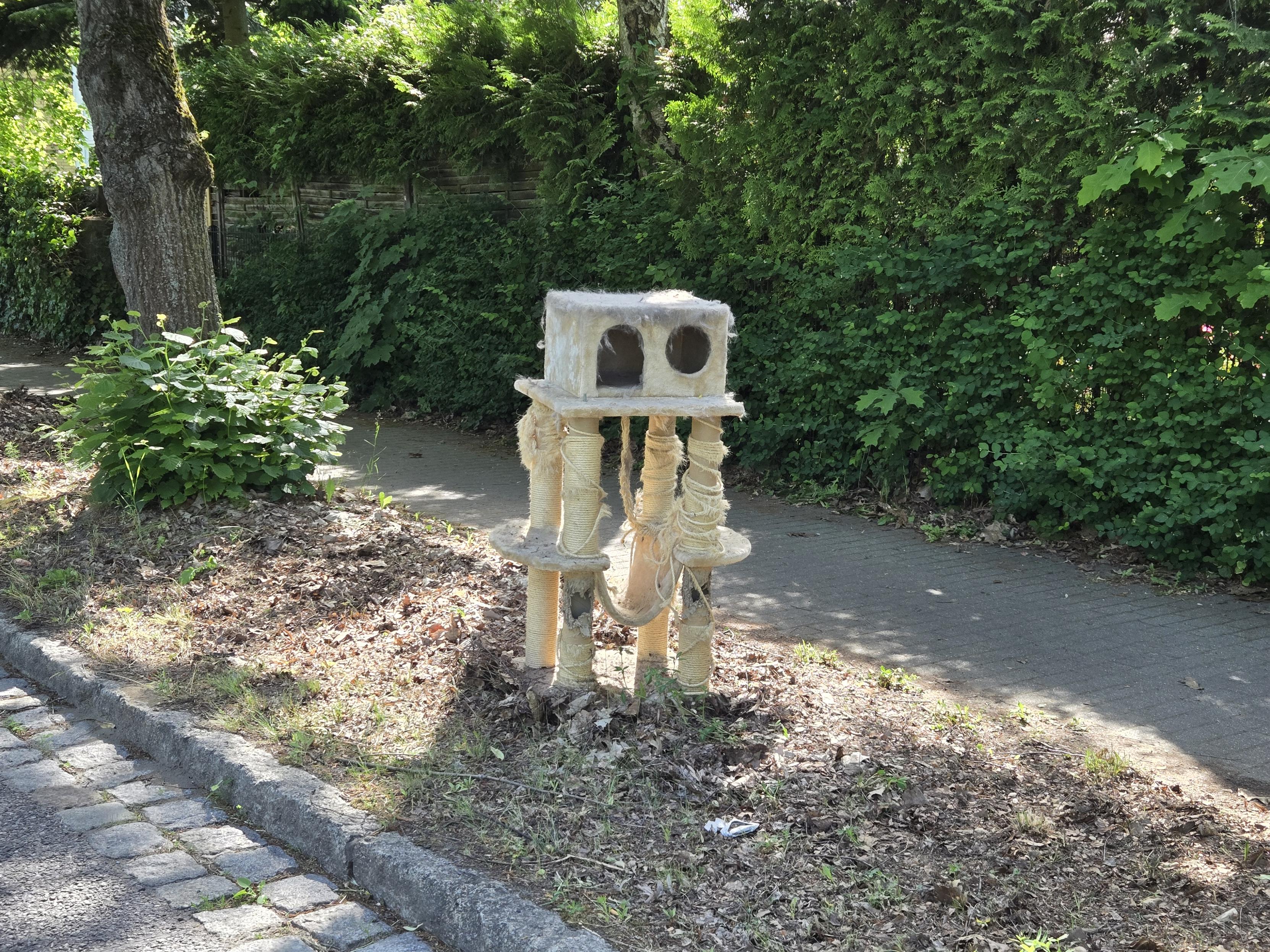 Ein Katzenhaus welches am Straßenrand steht