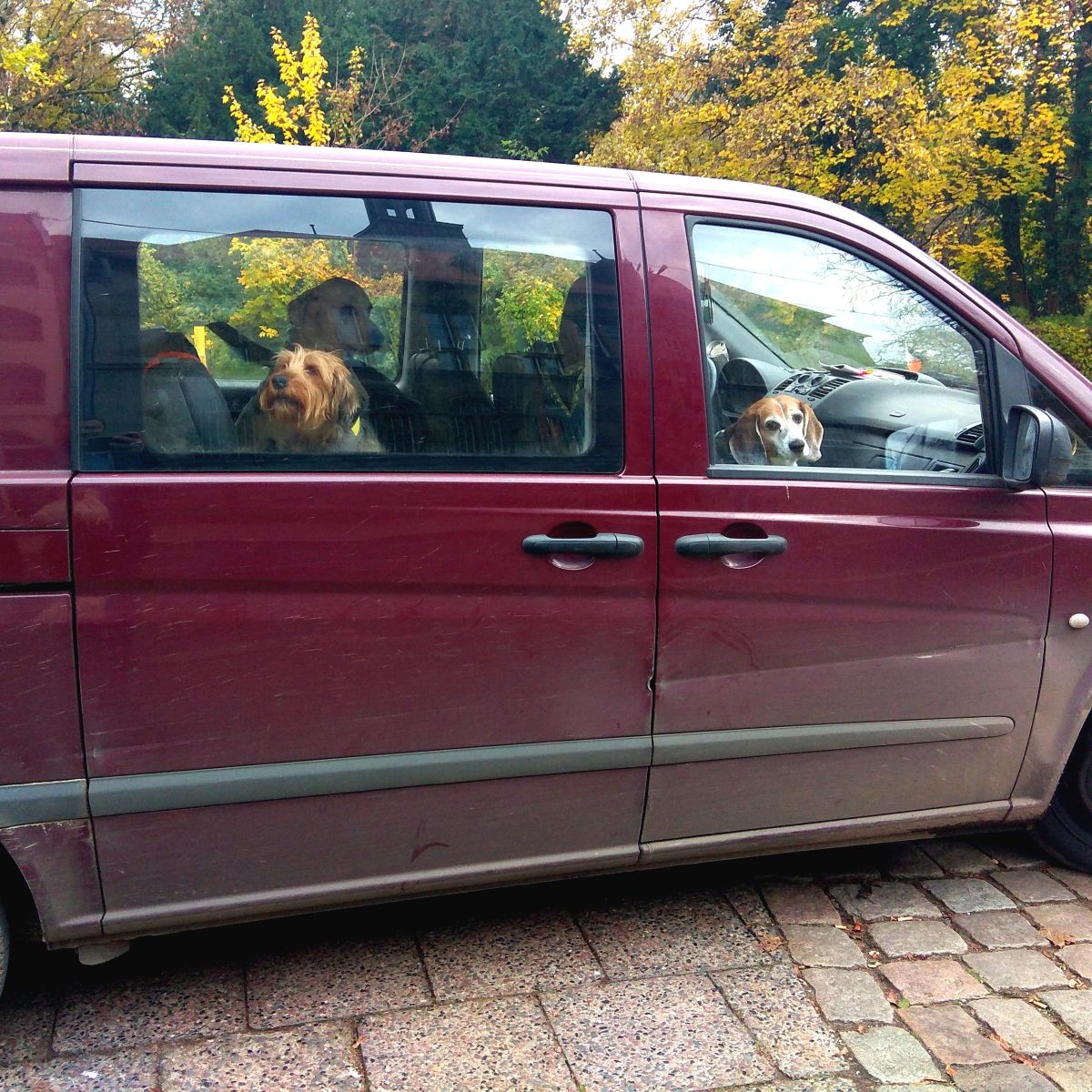 road trip with friends road trip with friends