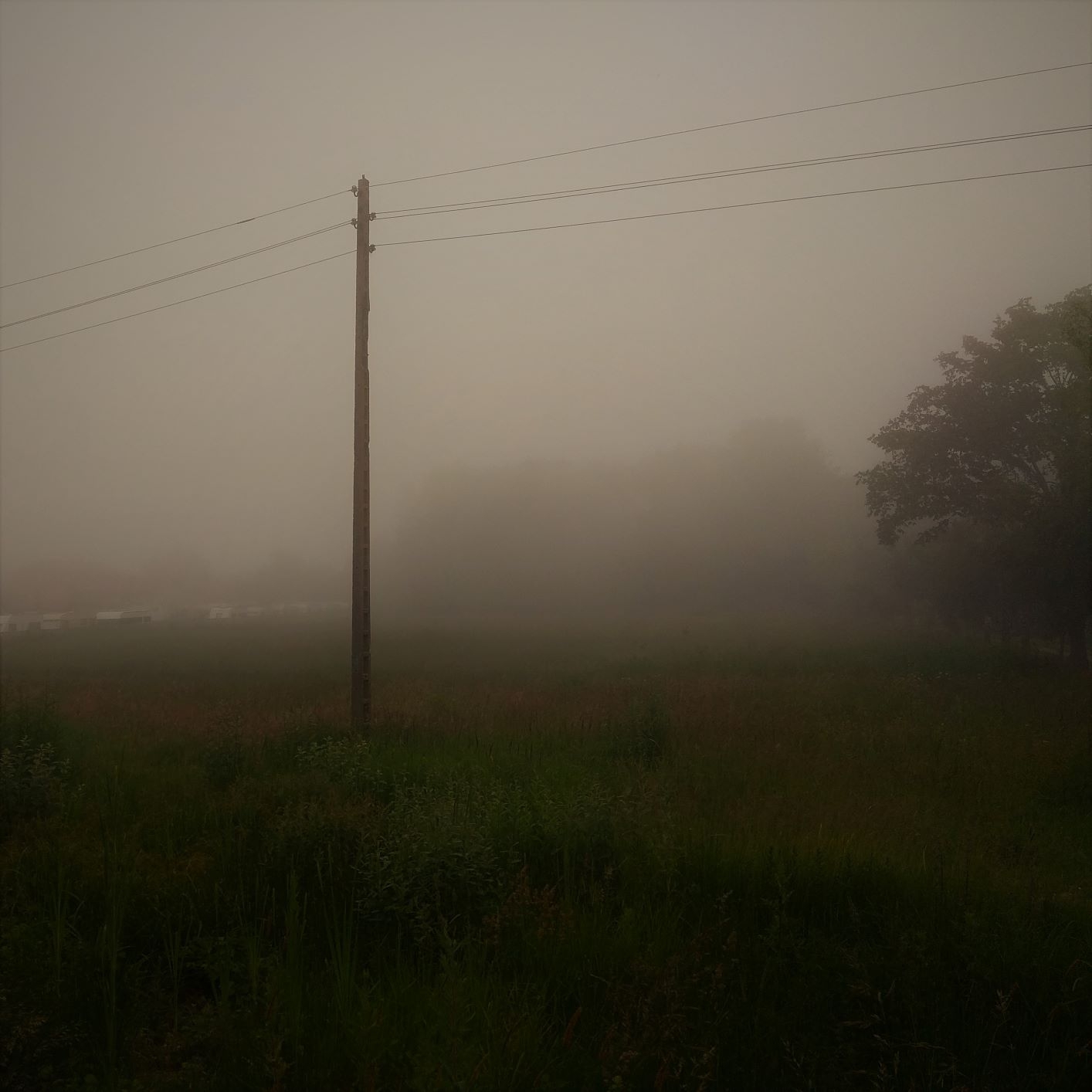 nebel in gąski im juli