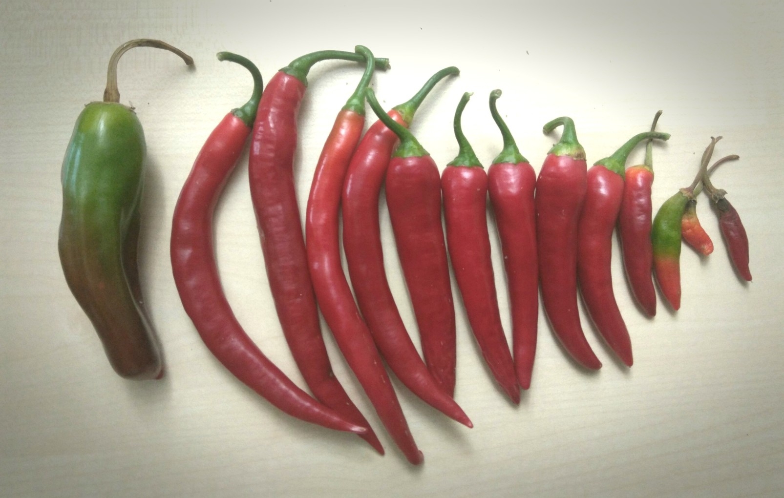 erntedankfest im büro