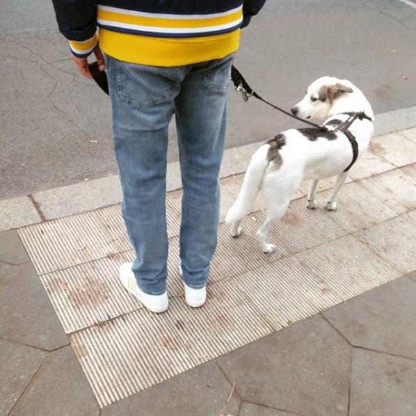 hipsters don't lie hipsters don’t lie