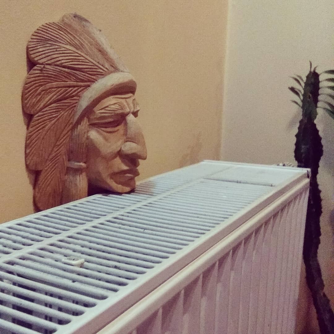 kulturelle aneignung